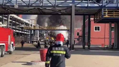遼寧化工廠爆炸已致5死8失聯(lián) 涉事公司曾因偷逃稅被通報(bào)